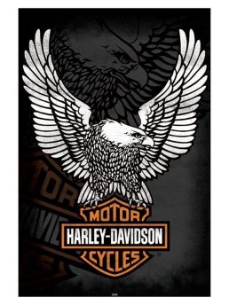 Harley Davidson Artikel