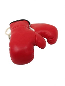 Kleine Boxhandschuhe