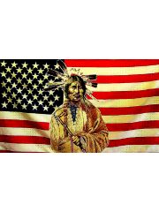 Fahne American Indian