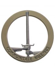 Bundeswehr Barettabzeichen 1. NL/D Corps