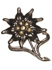 Bundeswehr Gebirgsjäger Edelweiß
