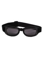 Bikerbrille Eagle 2