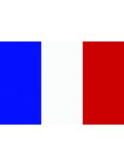 Fahne Frankreich