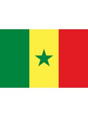Fahne Senegal
