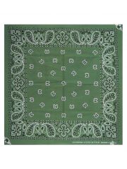 Bandana Paisley Ground