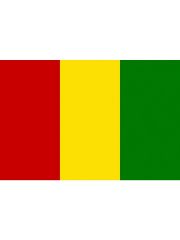 Fahne Guinea
