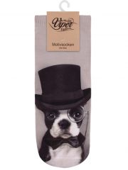 Sneaker Socken bedruckt Gentlemandog
