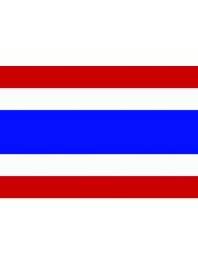 Fahne Thailand