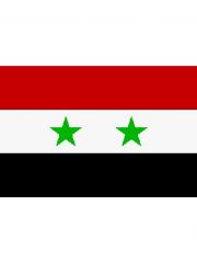Fahne Syrien