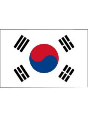 Fahne Süd Korea