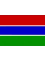 Fahne Gambia