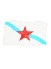 Aufbügler Fahne Galicia
