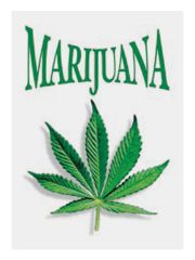 3 Marijuana Postkarten