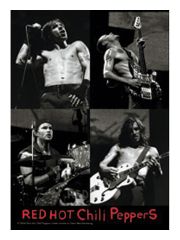 3 Red hot Chili Peppers Postkarten