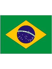 Brasilien Autofahne