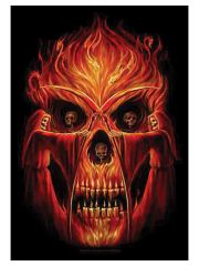 Spiral Flamin Altar Posterfahne