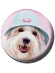 2 Button Rachael Hale