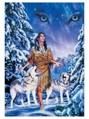 David Penfound Posterfahne Wolf Aurora