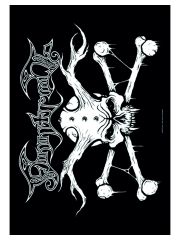 Finntroll Poster Fahne Crossbone