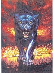 Alu Bild Puma