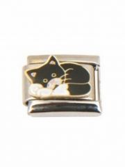 Motiv schlafende Katze