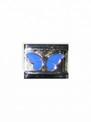 Motiv Schmetterling blau