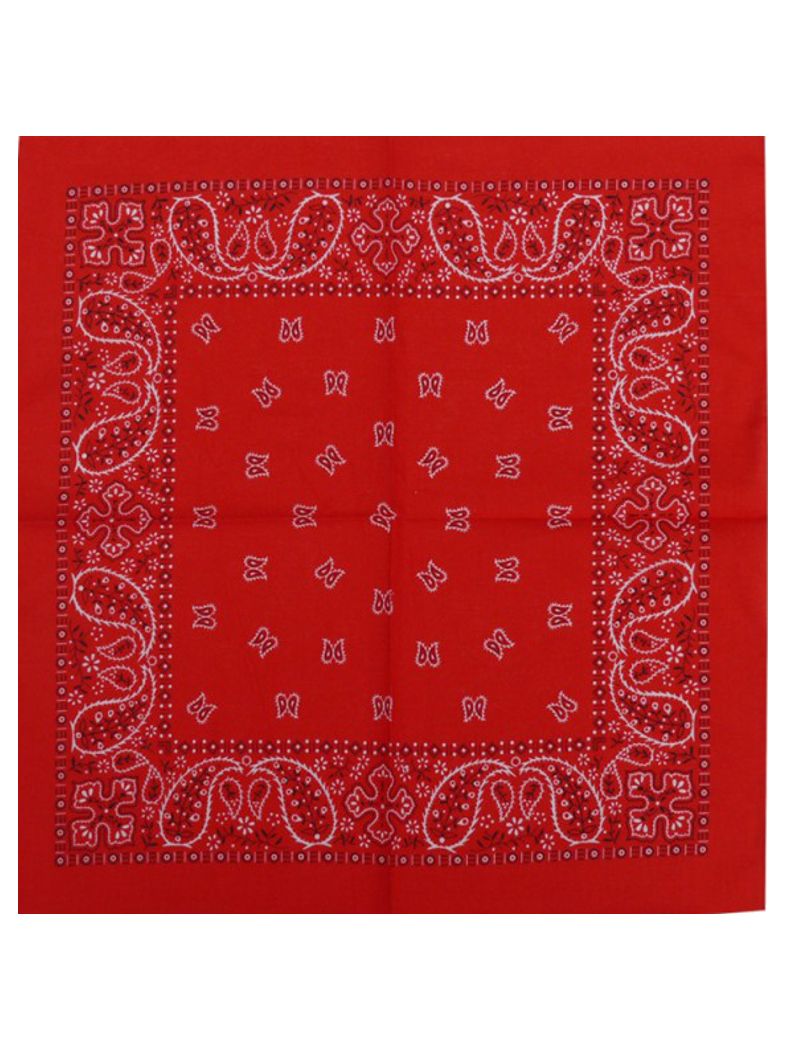 Bandana Paisley orange red