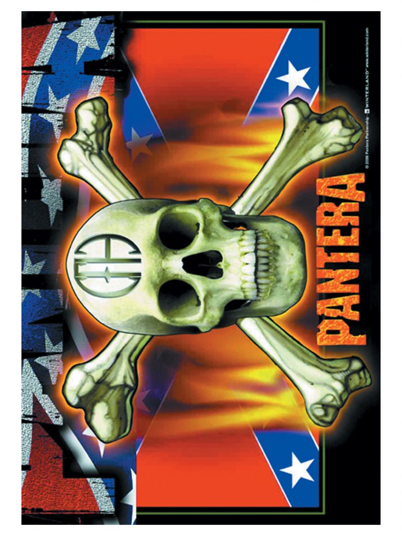 Pantera Poster Fahne Flag & Skull