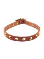Leder Halsband Spitznieten rot