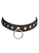 Leder Halsband Flachnieten