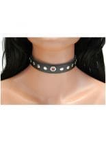 Leder Halsband Flachkopfnieten