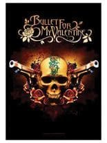 BFMV Poster Fahne Totenkopf