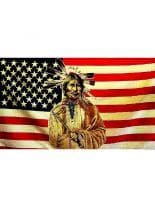 Fahne American Indian