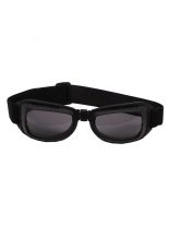 Bikerbrille Eagle 2