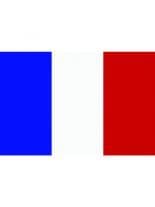 Fahne Frankreich