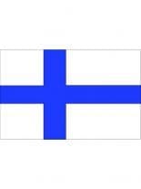 Fahne Finland
