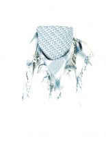 Palästinensertuch blau und weiß