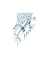 Palästinensertuch blau und weiß