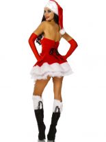 Weihnachts Petticoatkleid