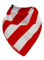 Bandana Stars and Stripes