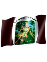 Fahne Brown pride