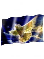 Fahne Freedom