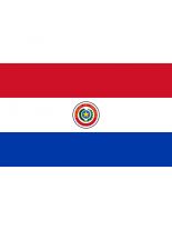 Fahne Paraguay