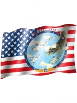 Fahne Wings over USA