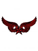 Aufnäher Flügel mit Stern