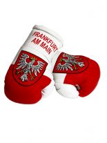 Kleine Boxhandschuhe Frankfurt am Main