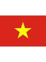 Fahne Vietnam