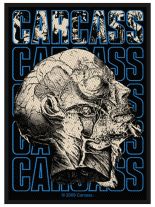 Aufnäher Carcass Necroticism
