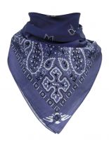 Bandana Paisley Ocean