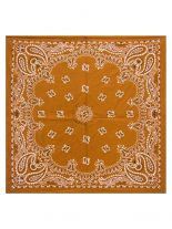 Bandana Paissley Curry